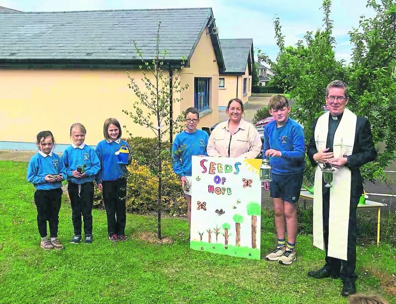 Seeds of Hope at Ballytarsna National School