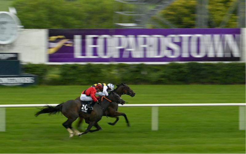 RACING: Your guide to Thursday&rsquo;s excellent card at Leopardstown