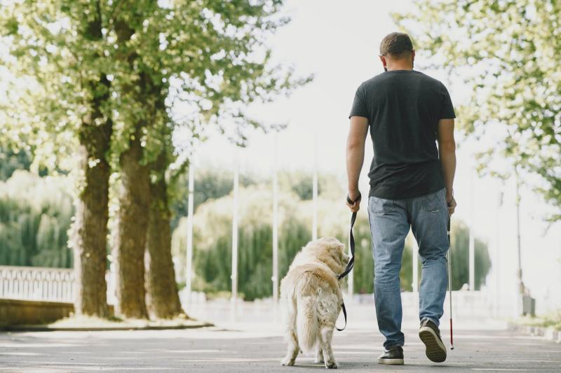 Guide dogs