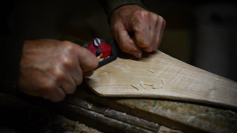 Ash dieback a real threat to Ireland and hurling