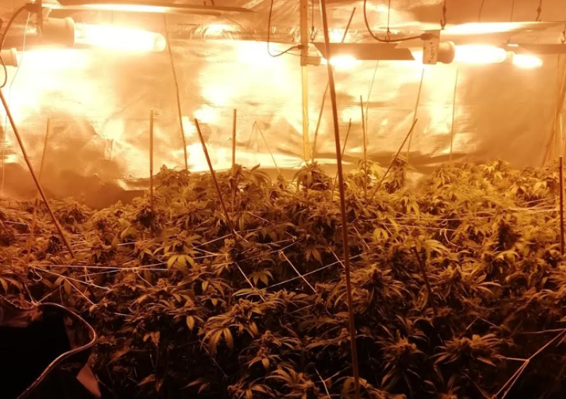 Man arrested after almost €400,000 worth of drugs discovered by Gardaí