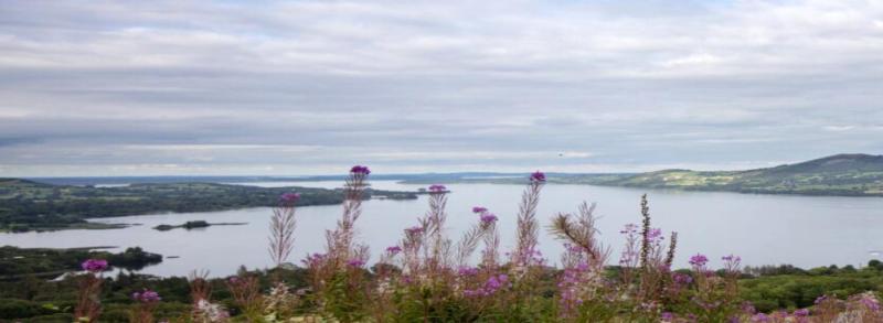 Tourism attraction: Tipperary greenway proposal will link Ballina with Dromineer