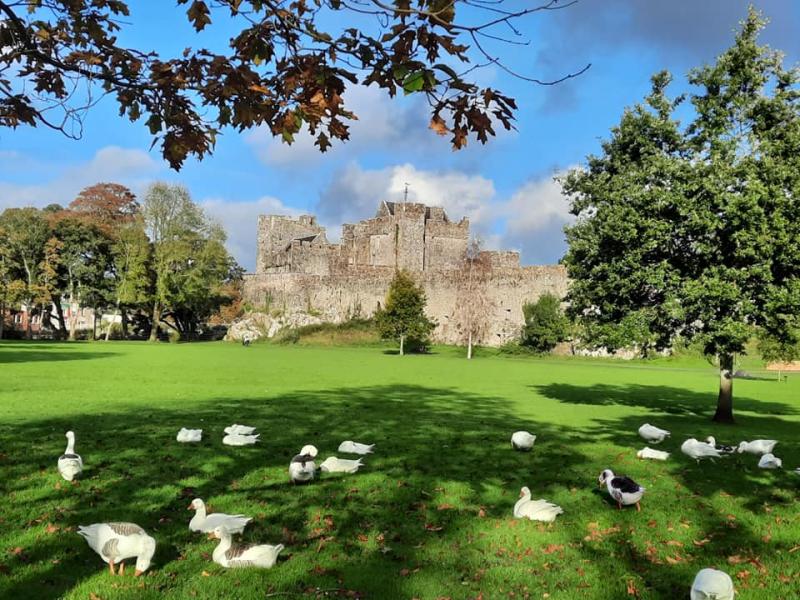 Ducks of Cahir Castle 