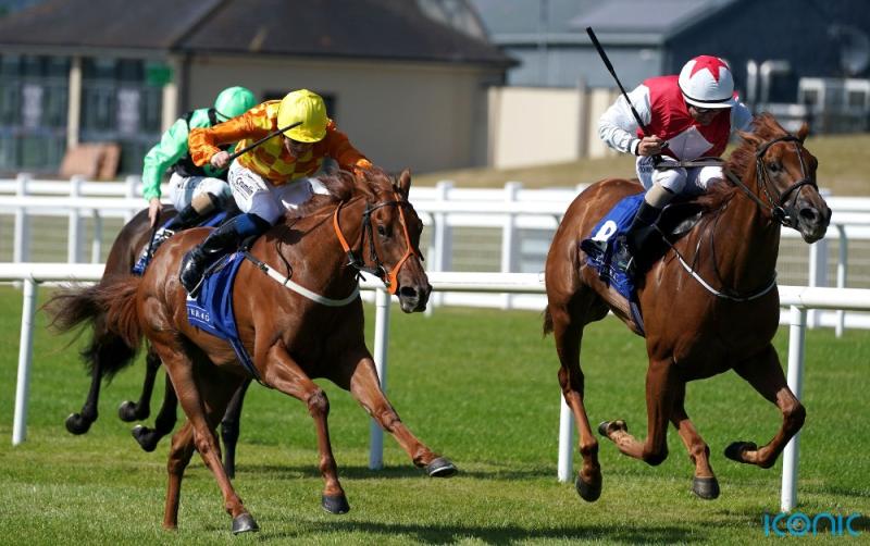 Treasure Trove possible for Breeders' Cup after hitting the jackpot at the Curragh