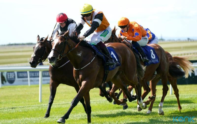 Aspen Grove claims 'shock victory' at the Curragh