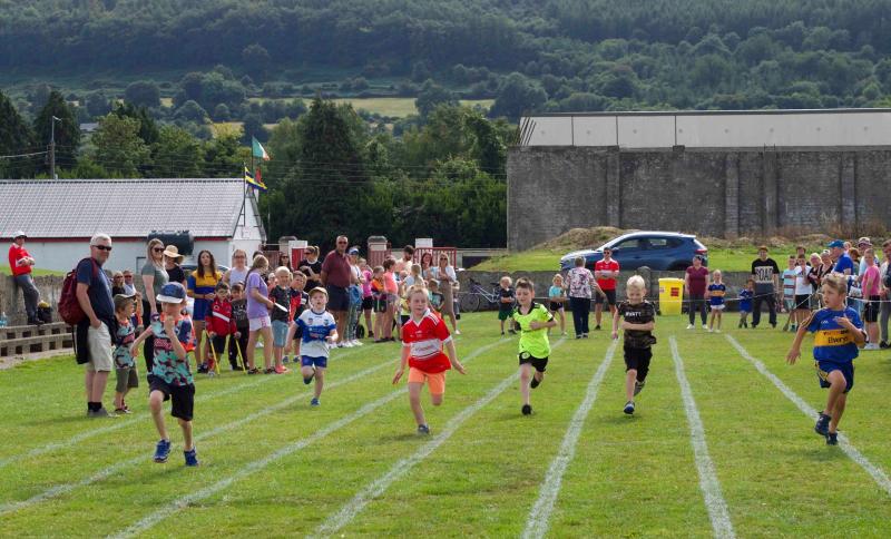 Carrick Davins GAA Club's Centenary Field Day was a huge success 