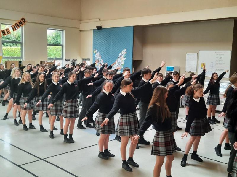 This Tipperary school are working hard to make their TY production a most magical performance 