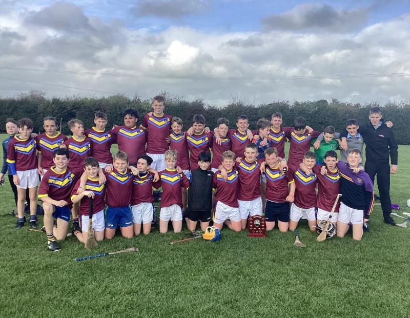 Newport first year hurlers win big in Thurles competition