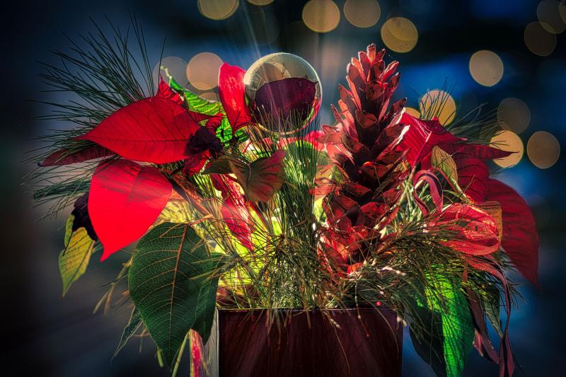Thurles District Flower and Garden Club to hold their Christmas Gala flower demonstration next week