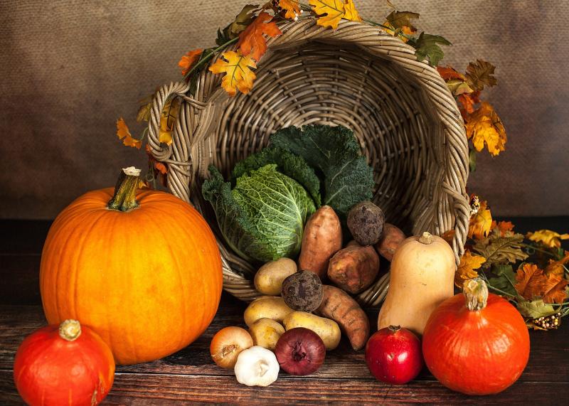 Tipperary community welcome new and familiar faces to their annual harvest thanksgiving 
