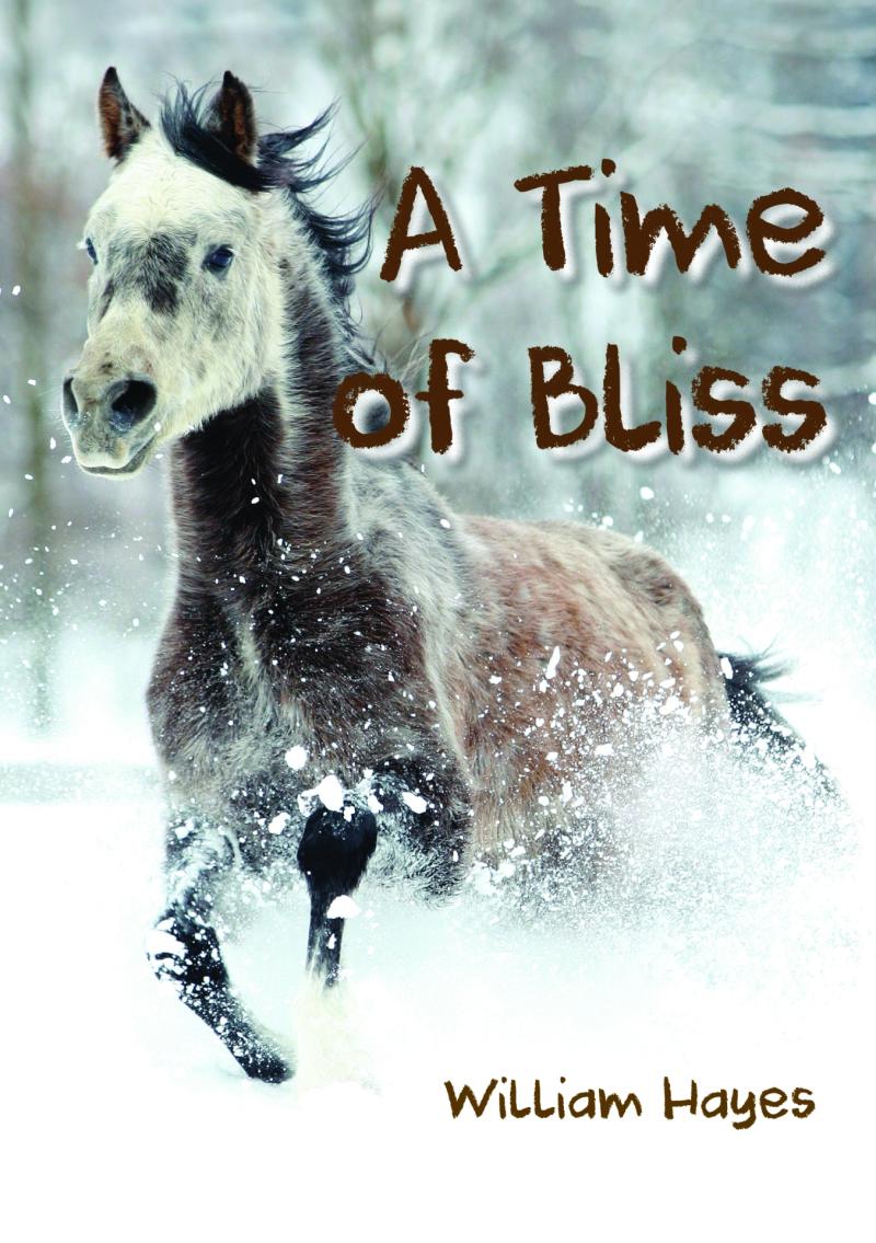 William Hayes' book is available now in Eason and Bookworm, Thurles 