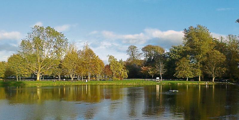 Praise  and concern for Templemore Town Park 