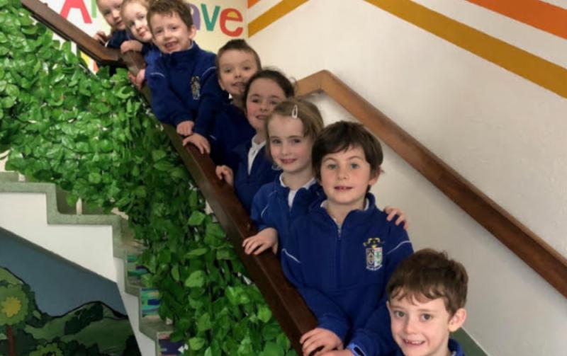 Scoil Angela Ursuline - a mixed primary school with a wide range of facilities 