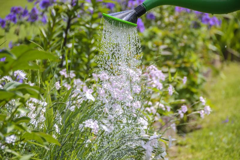 Think spring with Refresh Thurles Tidy Towns