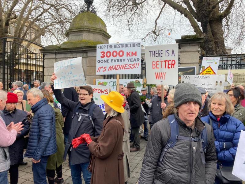Tipperary activists take battle to protect hedgerow corridors to Dáil Eireann