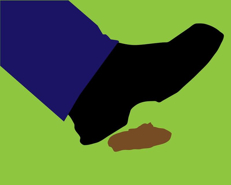 Dog fouling is  ‘a growing problem’ in Tipperary's largest town