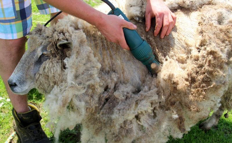 'Law is constantly changing' - Irish farmers advised to be aware of employment rules