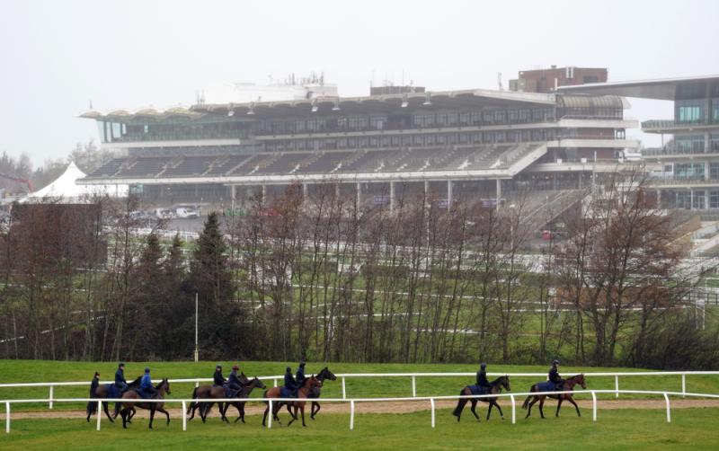 Cheltenham 2023 - where and when to watch in Ireland
