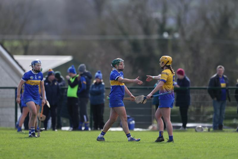 CAMOGIE: Tipperary absolutely cruising this spring time as they beat a rudderless Clare 