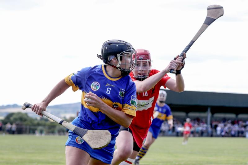 Tipperary are within touching distance of reaching first national camogie league final in 14 years