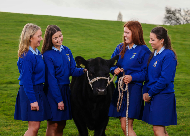 Ursuline students celebrated at Certified Irish Angus Schools Competition at Croke Park