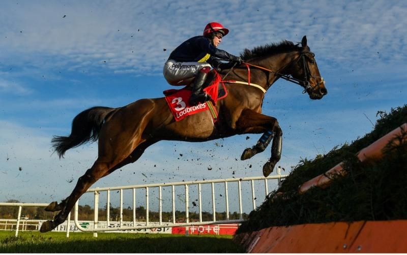 Huge shock as Fastorslow wins the Punchestown Gold Cup 2023 for Martin Brassil