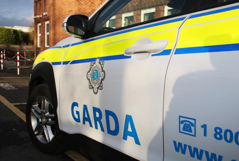 Gardai arrested woman following 'erratic' behaviour at Limerick residence 
