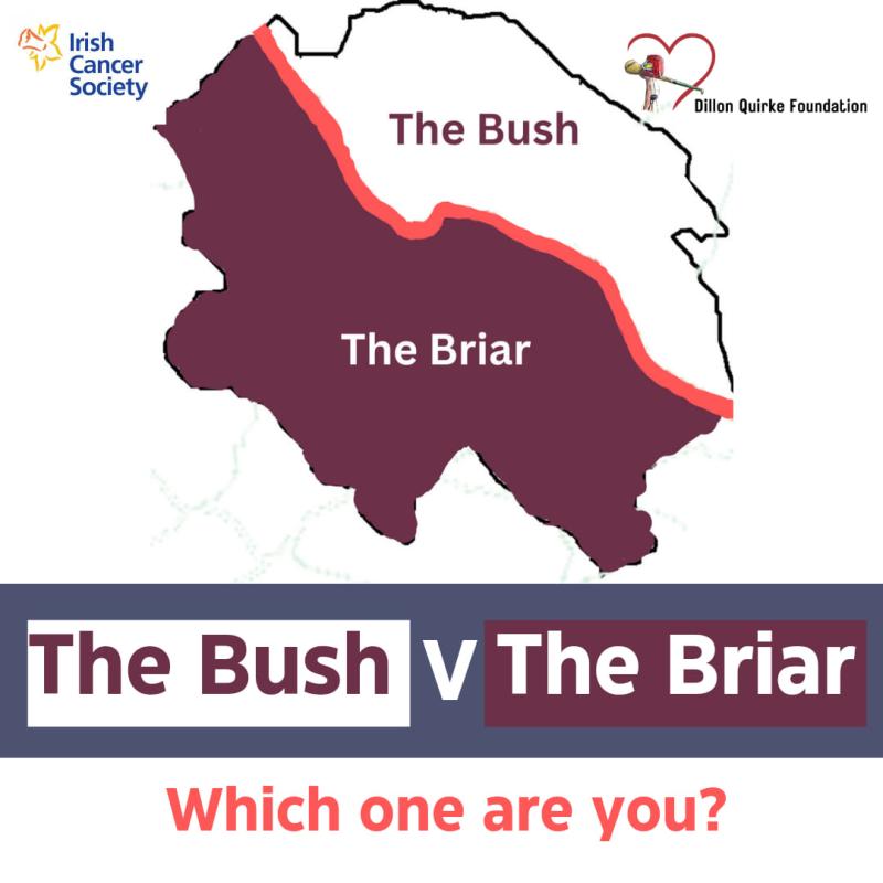 All roads lead to Borrisoleigh for "The Bush V The Briar" showdown this weekend !