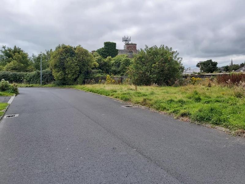 Tipperary councillor calls on Council to tackle grass cutting issues in housing estates