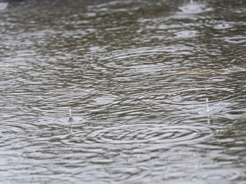 Storm Betty: Heavy rain and strong winds batter Ireland overnight leaving damage and disruption 
