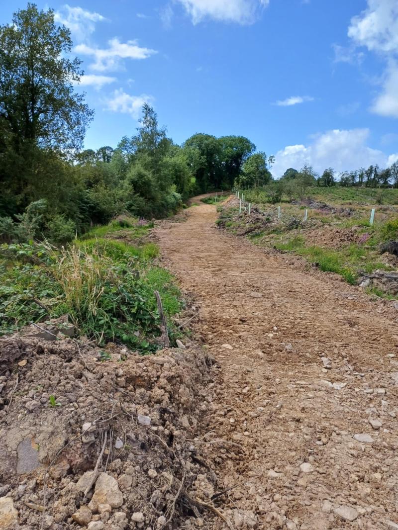 Tipperary Heartlands: Walking your troubles away in the heart of the county! 