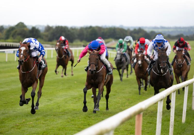 Clonmel racing gets going again this evening after the summer break 