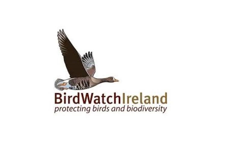 BirdWatch Ireland welcomes An Bord Pleanála decision to refuse Boyne Greenway planning