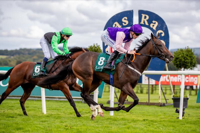  RACING: Two upcoming big money Irish EBF Auction Finals to look forward to 