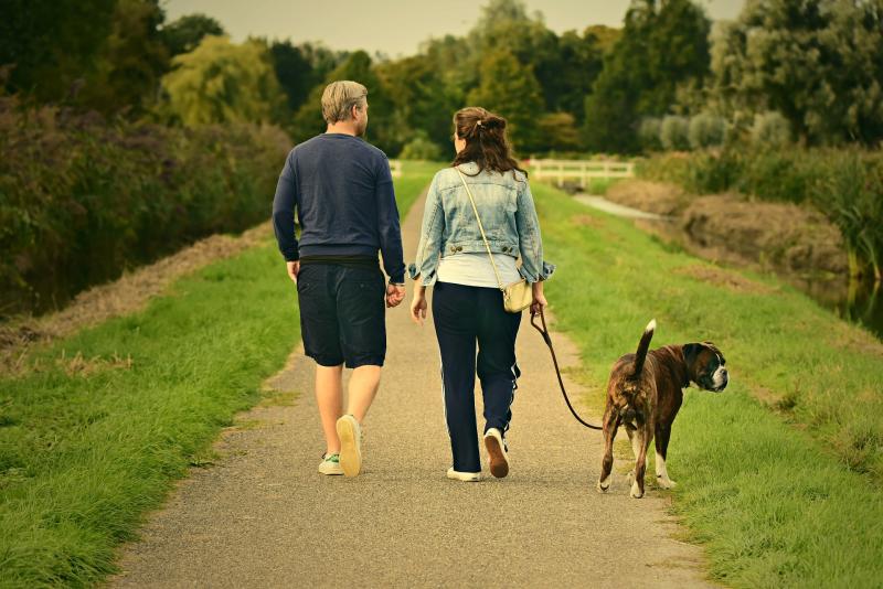 South Tipperary's latest walkway officially opens this weekend