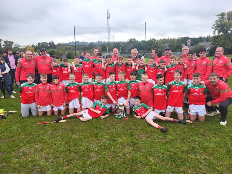 Cashel King Cormacs bridge a forty year gap in style