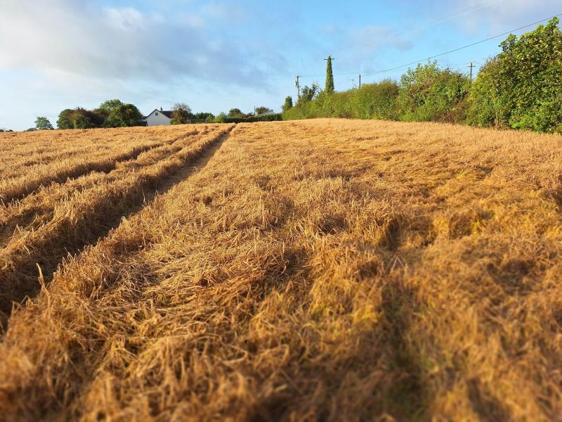 Farm families encouraged to attend IFA election debate in Tipperary 