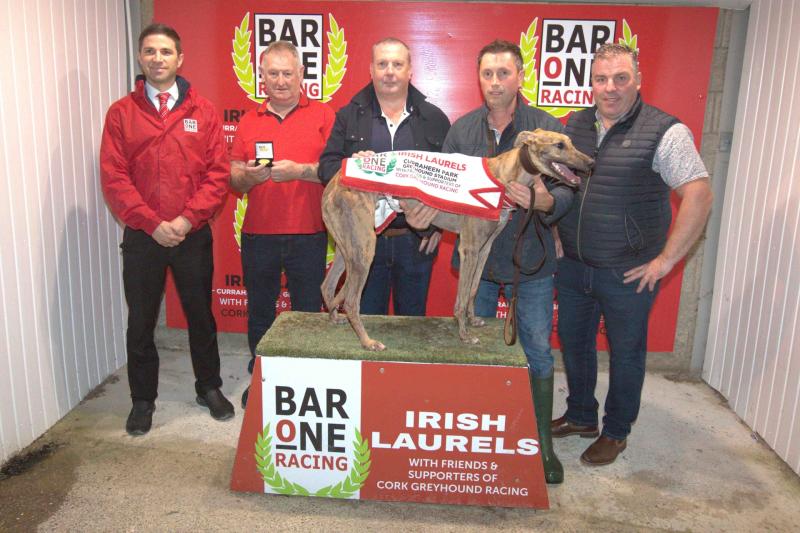 Tipperary trained Jacktavern Bolt is the favourite for the Bar One Racing Irish Laurels final