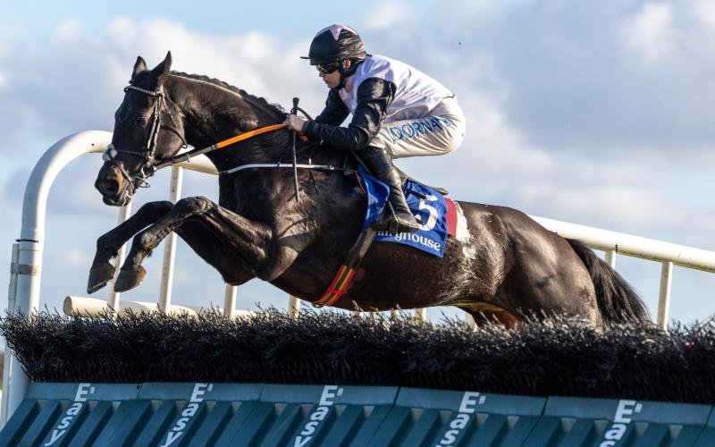 Superb week for Tipperary trainers, horses and jockeys with Rachel Blackmore leading the way 
