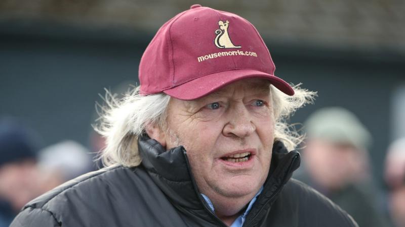Injury means that Tipperary-trained Gentlemans Game will miss Christmas race at Leopardstown