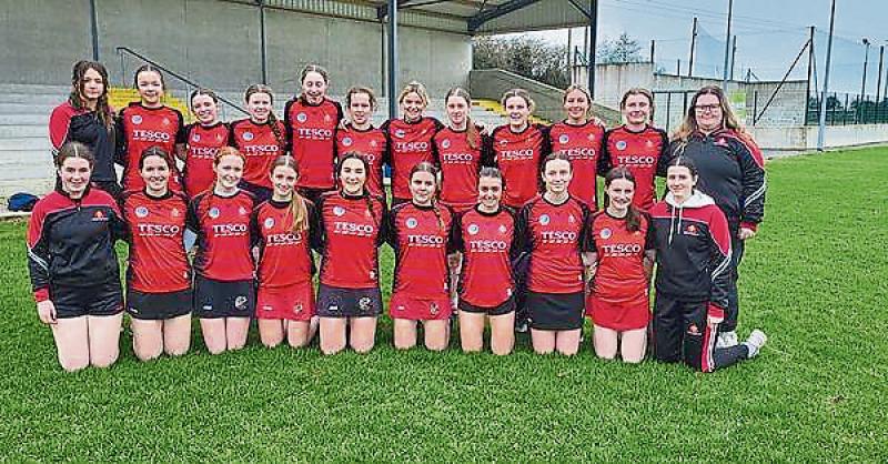 Tipperary school's senior camogie qualify for Munster final