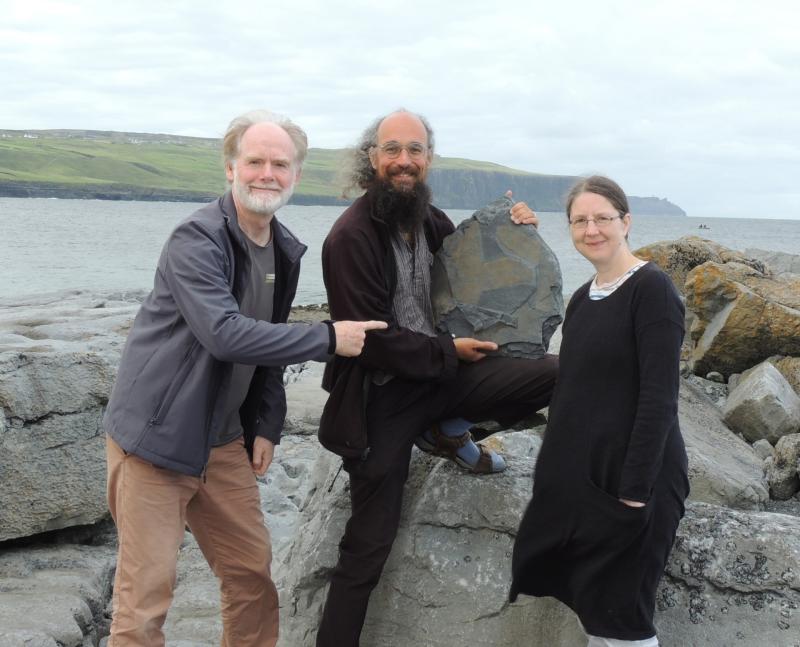 &lsquo;Extraordinary&rsquo; 315-million-year-old fossil sponge found near the Cliffs of Moher