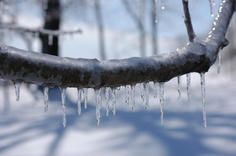 Alert: Met Éireann issues weather advisory with potential for severe frost in coming days