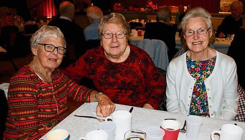Banish the post Christmas 'Blues' in Tipperary  - Lions Club party in Cashel