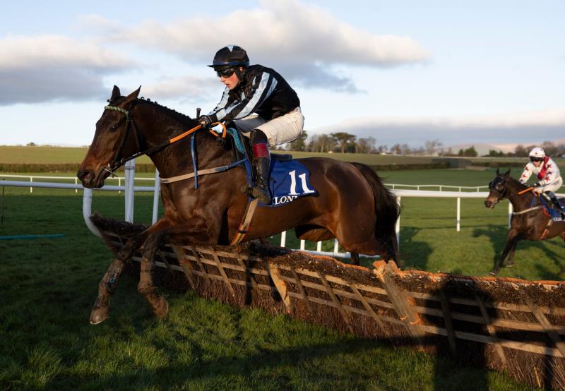 Tipperary racing news: Plenty of winners across seven days as Edward O’Grady leads the way 