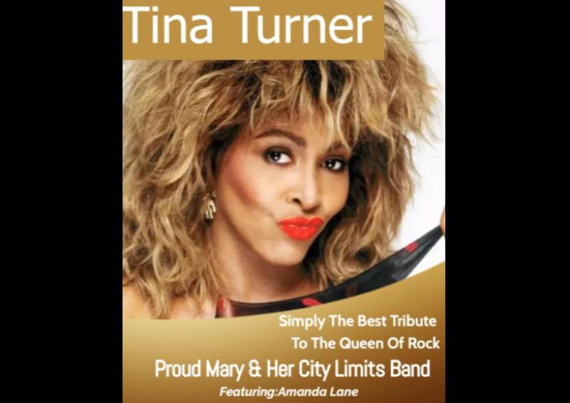 Tina Turner tribute show to be held at Tipperary hotel
