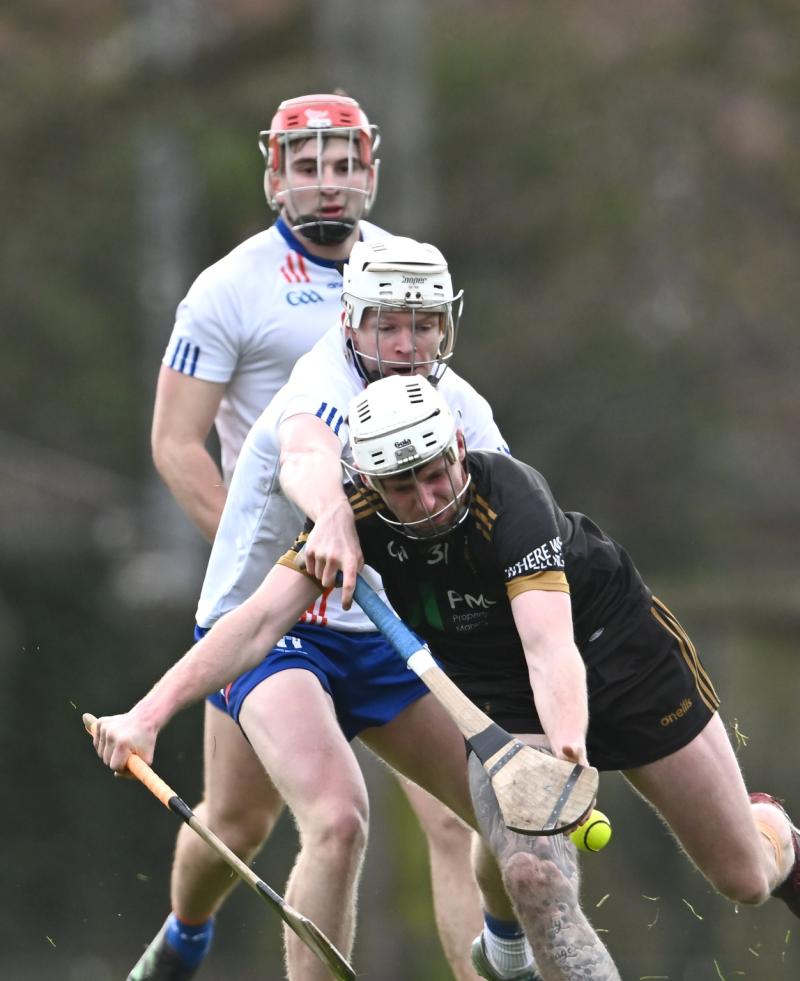 Some 17 Tipp players feature as Mary I dispatch TUS Midwest in Fitzgibbon Cup quarter