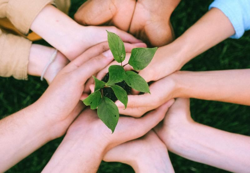 EDITORIAL: We do not do enough to recognise the work of our volunteers 