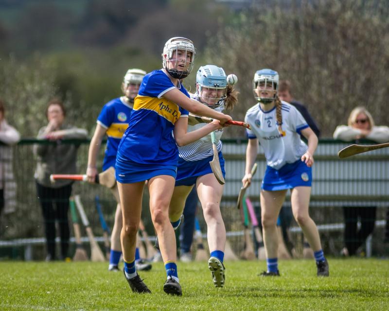 Tipperary camogie minors travel in search of a Munster A title this weekend 