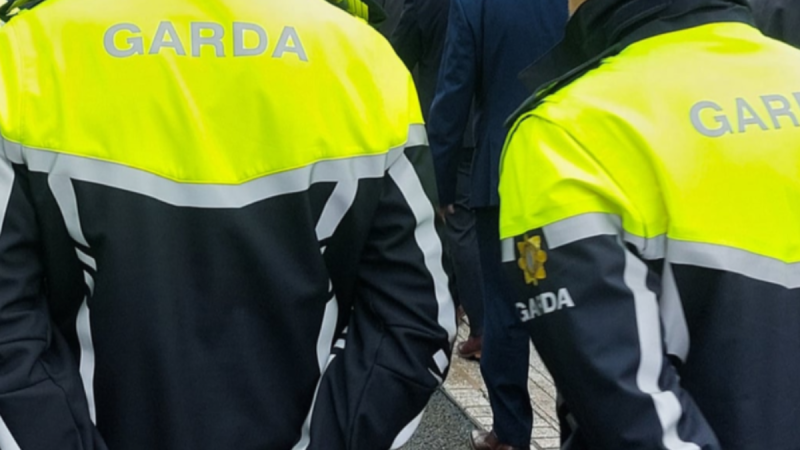Woman arrested in connection to Michael Foley murder released without charge